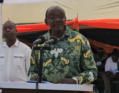 Mohadi calls for stronger fight against drug abuse to protect culture
