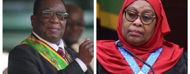 Zimbabwe moves up Africa’s largest economy rankings at $65.9 billion, but heavy US dollar reliance has not helped it match Tanzania’s growth