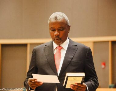 Mnangagwa appoints Kuda Tagwirei as Minister of Economic Development and Investment Promotion