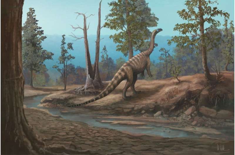Zimbabwe’s dinosaurs were different from South Africa’s: New species offers clues